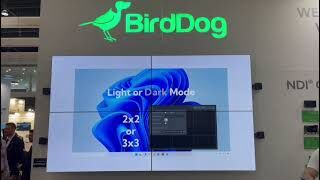 BirdDog VideoWall